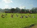 Click to enlarge - 2005 Women's National Team Exhibition Series vs. Cuba