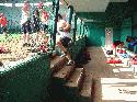 Click to enlarge - 2005 Women's National Team Exhibition Series vs. Cuba