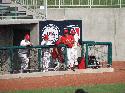 Click to enlarge - 2007 International Women's Baseball Series