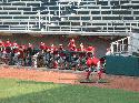 Click to enlarge - 2007 International Women's Baseball Series