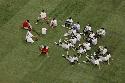 Click to enlarge - 2007 Mizuno Junior Elite Camp
