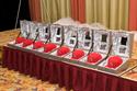 Click to enlarge - 2009 Baseball Canada National Teams Awards Banquet & Fundraiser (photos by CJ LaFrance)
