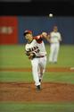 Click to enlarge - 2009 World Baseball Classic