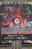 Click to enlarge - Final Olympic Qualifier